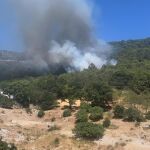 Declarado un incendio forestal en Casares