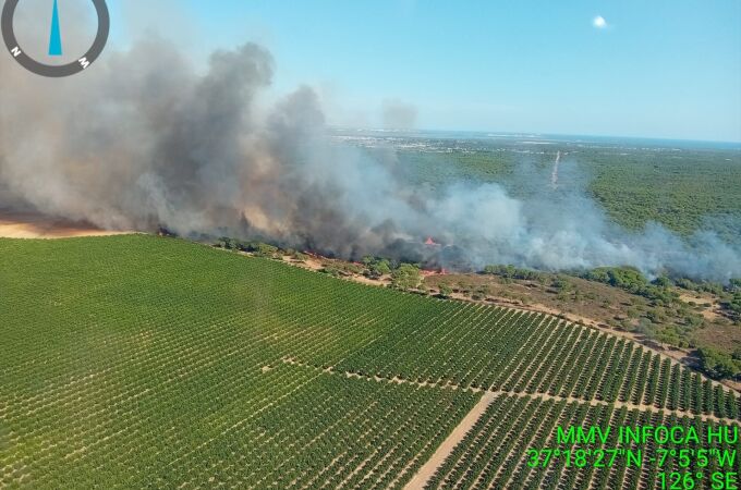 Incendio en la zona de los pinares de Cartaya, en Huelva