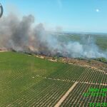 Incendio en la zona de los pinares de Cartaya, en Huelva