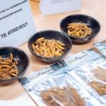 La startup Biofarm Fly utiliza insectos para alimentación animal 