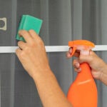 Limpieza de una mosquitera