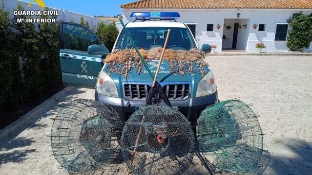 Artes para la captura ilegal de aves fringílidas intervenidas en Jerez