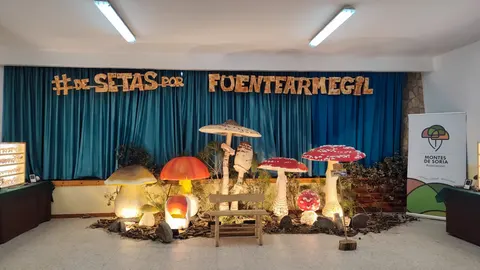 Mycological Summer Tour vuelve este año