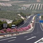 El desconocido motivo por el que se usan adelfas en las carreteras y autovías españolas