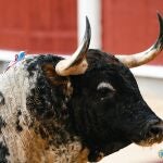 En Las Ventas, septiembre se escribe con acento en la "T", de "torismo"