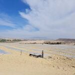 MURCIA.-Ecologistas en Acción denuncia 47 hectáreas de regadío ilegal que afectan a especies protegidas en Mazarrón