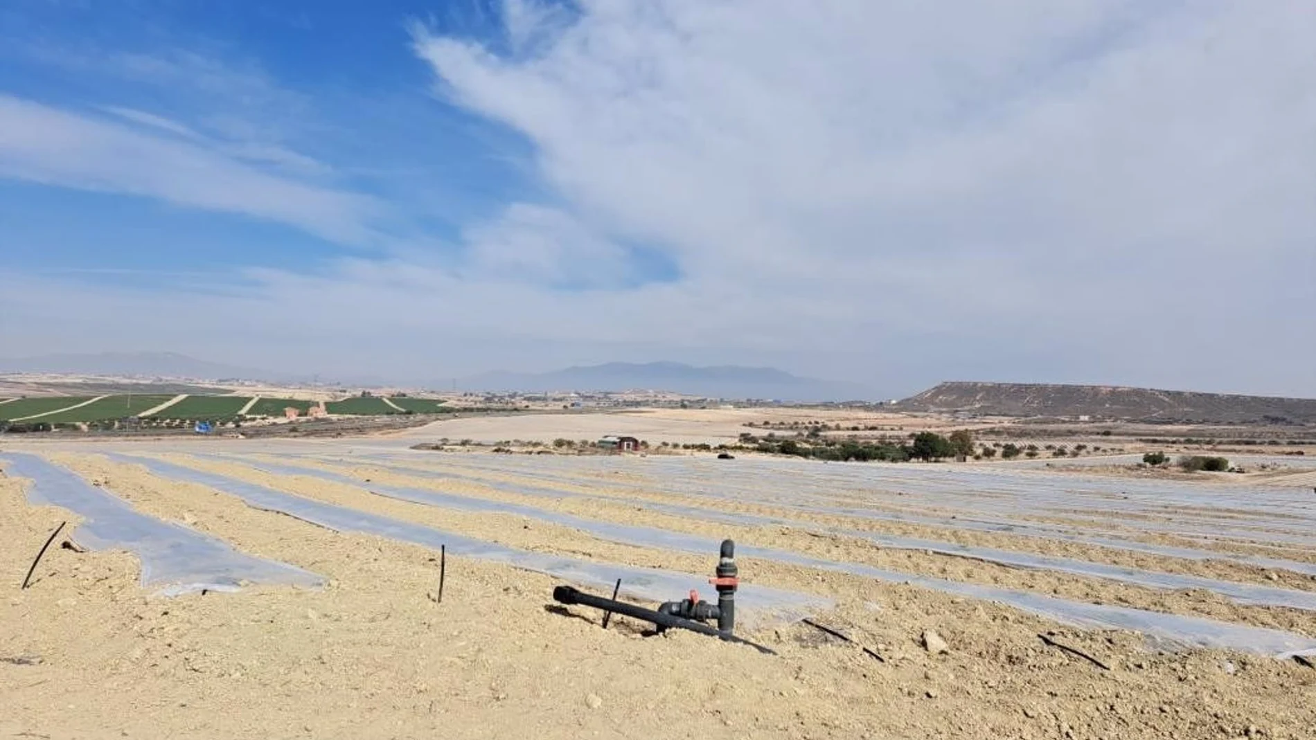 MURCIA.-Ecologistas en Acción denuncia 47 hectáreas de regadío ilegal que afectan a especies protegidas en Mazarrón