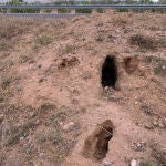 Madrigueras de conejos en la provincia de Palencia