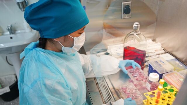 Pruebas en un laboratorio para detectar virus y bacterias peligrosos en una caja de laboratorio especial. Laboratorio especializado para trabajar con patógenos, virus y bacterias y desarrollar diversas vacunas.