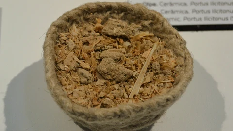 Restos de garum
