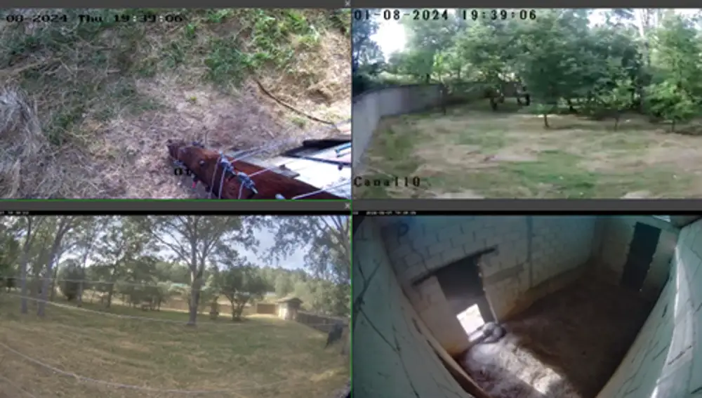 Videovigilancia a la osezna en el centro de recuperación de Valsemana