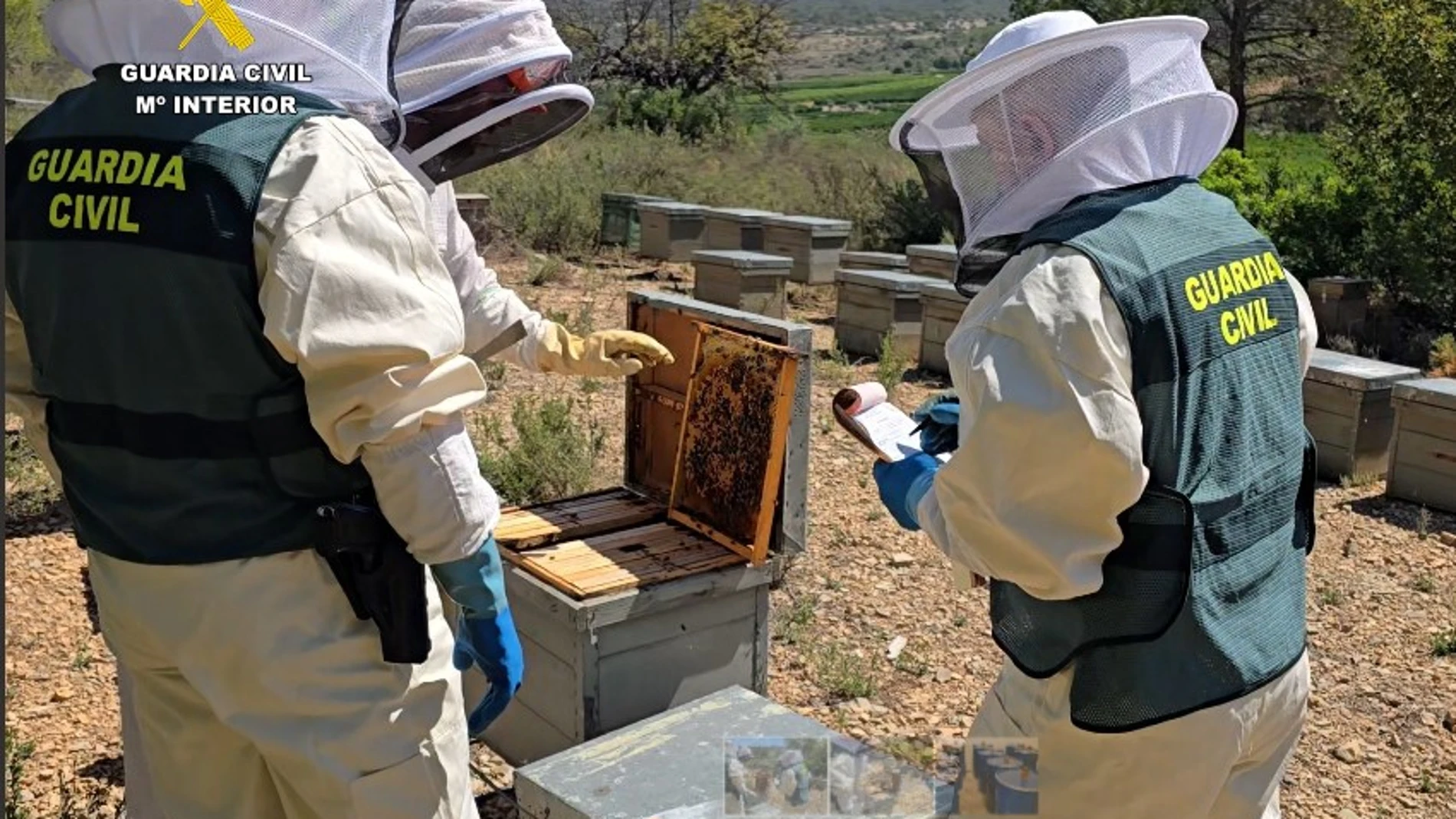 Un momento de la operación