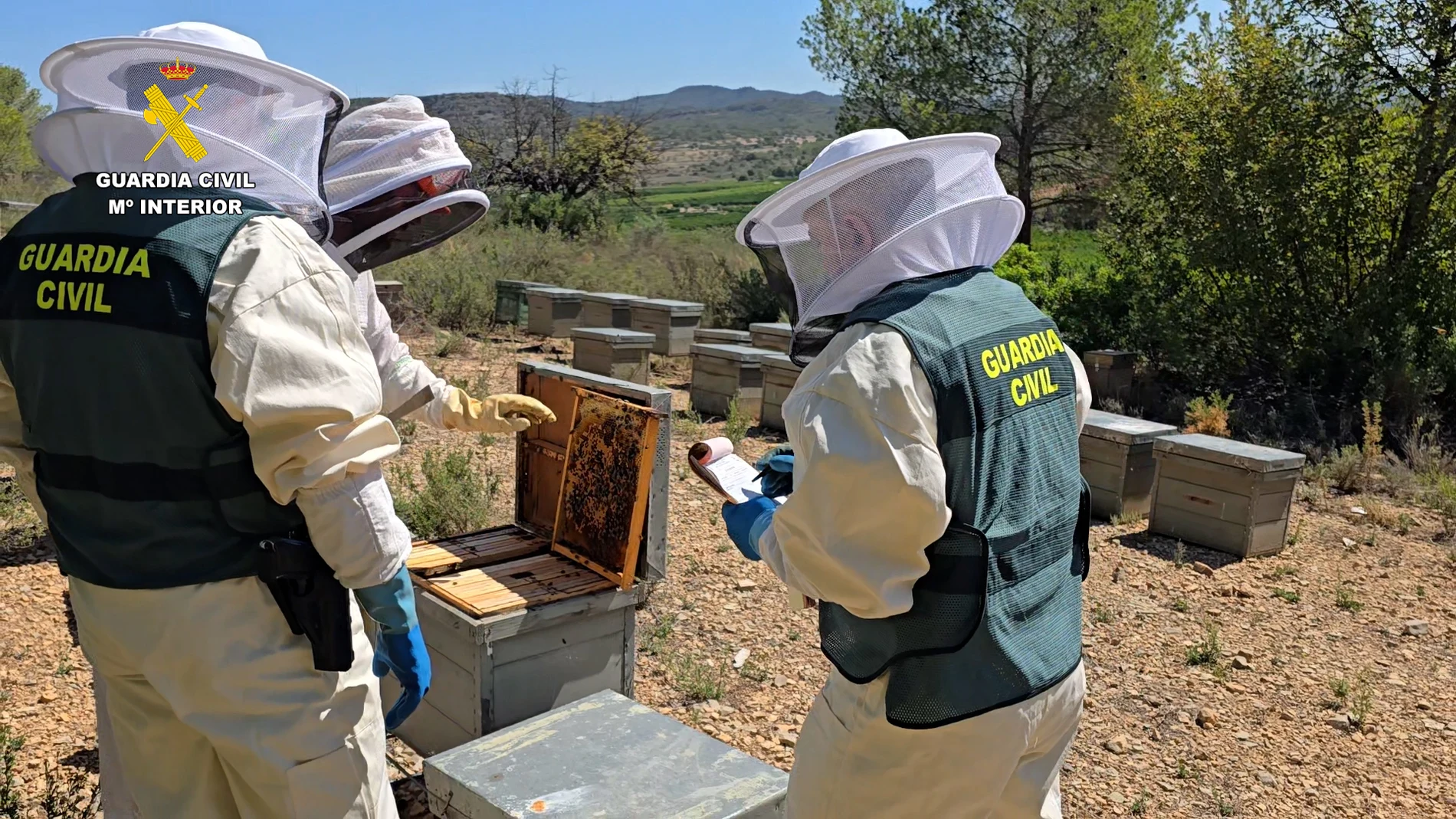 La Guardia Civil investiga a once personas por comercializar miel ecológica contaminada con pesticidas procedente de China