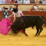 Morante nos agarra el corazón en la tarde de la contundencia de Ginés y el valor de Roca