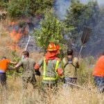 Sucesos.- El incendio de El Molar se encuentra estabilizado y en fase de control tras arrasar 200 hectáreas