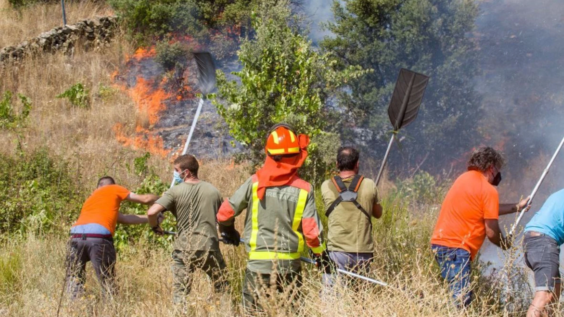 Incendio en El Molar EMERGENCIAS 112 COMUNIDAD DE MAD 05/08/2024