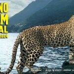 Cartel del 77º Festival de Cine de Locarno, en Suiza