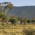 Dos turistas españolas fallecen en un accidente en un safari en Tanzania