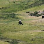 El conflicto por el uso de pastos entre un pueblo asturiano y otro leonés que llegará al TSJ de Castilla y León