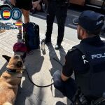 La Policía Nacional detiene a 21 personas por tráfico de drogas tras el registro de dos autobuses que se dirigían a un festival de música electrónica