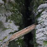 En busca del buitre leonado: una ruta fascinante por el Cañón de las Buitreras