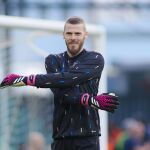 MADRID.-El portero madrileño David de Gea jugará en la Fiorentina italiana