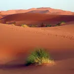 Desierto africano, destino ideal de Lolita
