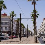 Palmeras en una calle de Casablanca