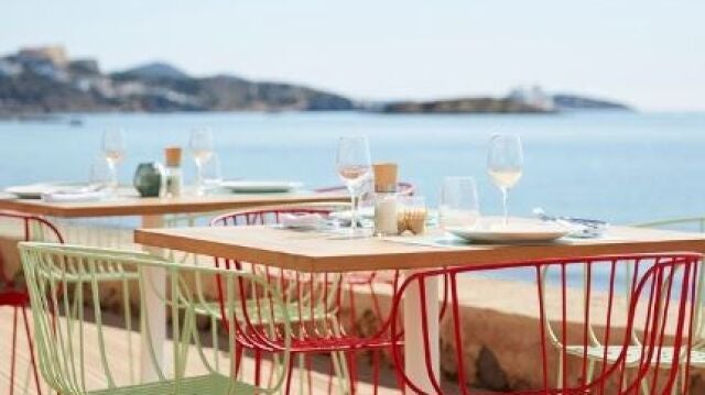 Seahorse Ibiza