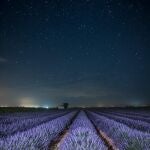 Los 8 mejores lugares de La Mancha para disfrutar de las perseidas