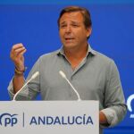 El secretario general del PP andaluz, Antonio Repullo