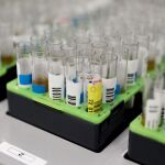 España es el país europeo con más incidencia de viruela del mono con 8.104 casos desde 2022