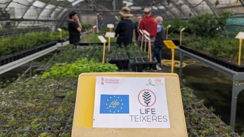 La creación de huertos es una de las actuaciones más destacadas del proyecto, en la que participa un comité de expertos