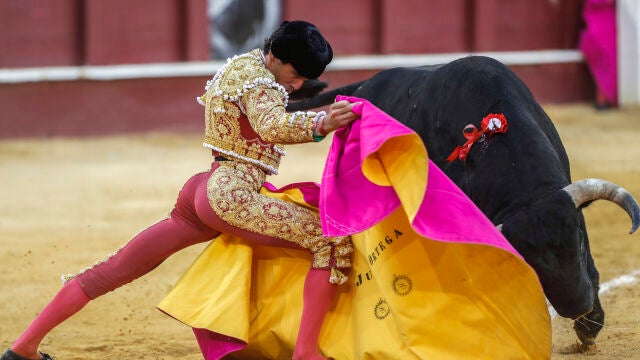 Toros en Málaga