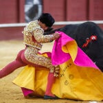 Toros en Málaga