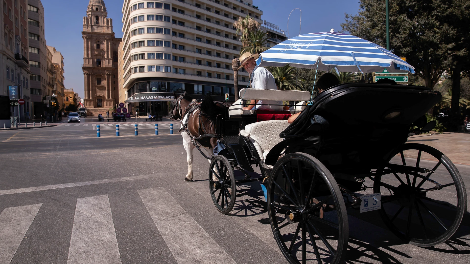 MÁLAGA, 17/08/2024.- Un coche de caballo realiza su servicio con la catedral de Málaga al fondo. Los coches de caballos tienen licencia para operar en Málaga hasta 2035, aunque el objetivo del Ayuntamiento es abolir el servicio "cuanto antes", por lo que ha entablado conversaciones con el colectivo para intentar llegar a un acuerdo económico que ponga fin a esta controvertida actividad orientada al turismo. EFE/Jorge Zapata