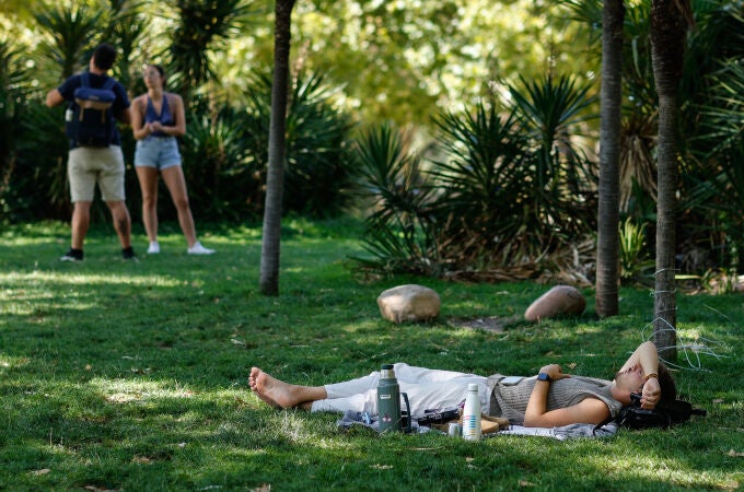 Cualquier sombra es apetecible para escapar del calor