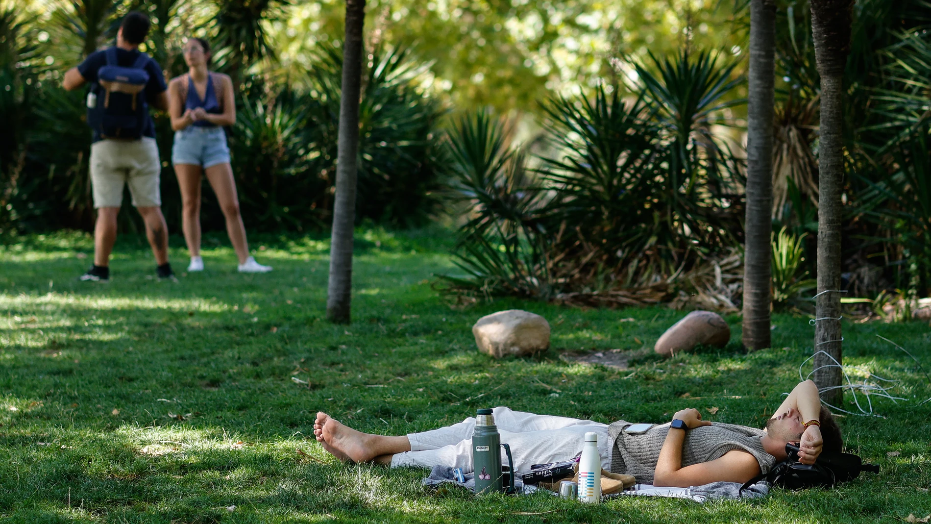Cualquier sombra es apetecible para escapar del calor