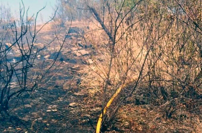 El incendio forestal en la Sierra de Andújar afecta a más de 700 hectáreas