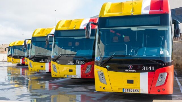 Varios autobuses TIB