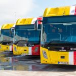 Varios autobuses TIB