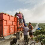 En pleno trabajo de campo