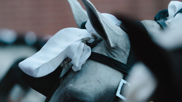 El caballo reclama el protagonismo en Las Ventas