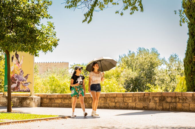 La AEMET activa la alerta amarilla por calor en Córdoba