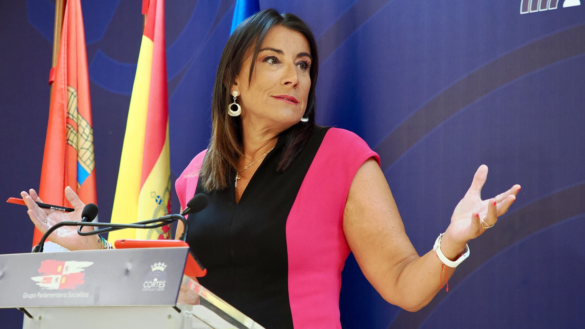 Ana Sánchez durante la rueda de prensa