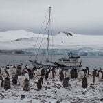 El velero de la expedición Australis ante una colonia de pingüinos en la Antártida