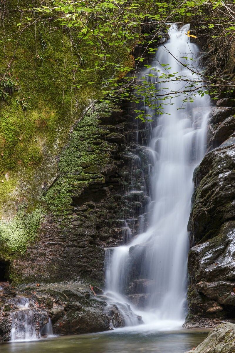 Cascada del bosque privado del establecimiento