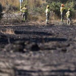 Campo arrasado en el incendio de Astorga