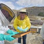 El director general de producción Agraria, Ganadera y Pesquera, Juan Pedro Vera, durante la visita a una explotación apícola en Fuente Álamo