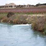 Agua.- La CHS publica el contrato para redactar proyectos en el área de explotación del regadío tradicional